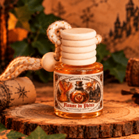 Diffuseur flamme du phenix www cocooningcandle com