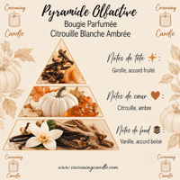 Pyramide olfactive citrouille blanche ambree www cocooningcandle com