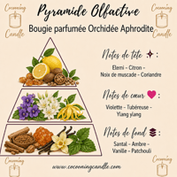 Pyramide olfactive orchidee aphrodite cocooningcandle com